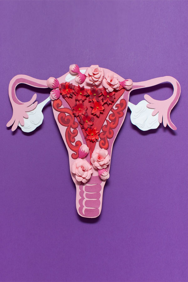 Charlotte Fibroids Treatment Reis Gretchen Charlotte North Carolina