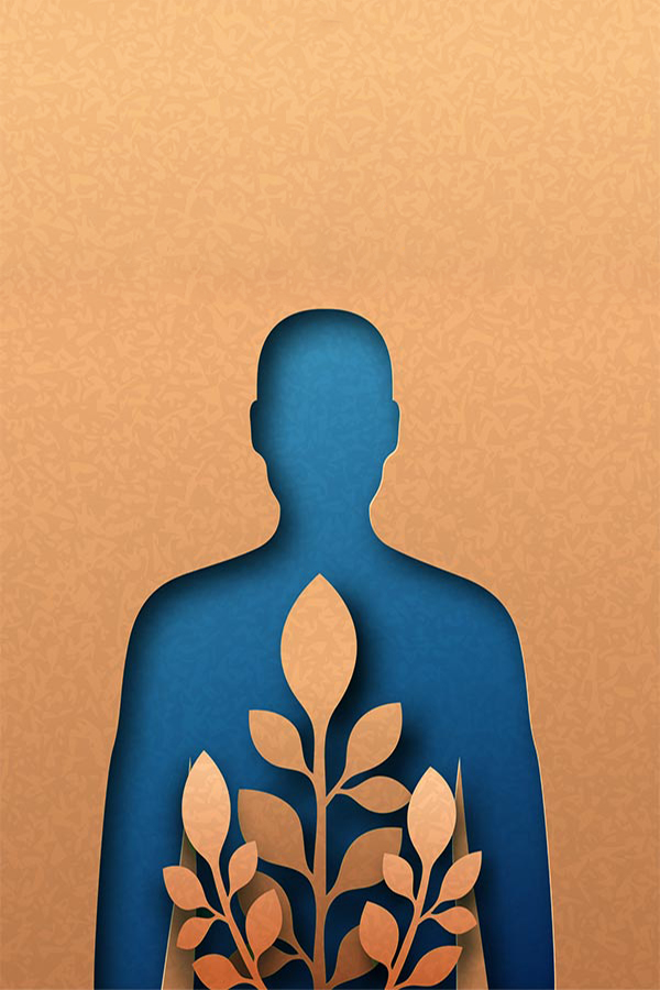 Reis Gretchen Charlotte North Carolina Functional Medicine Programs